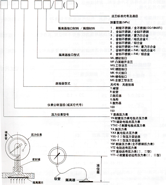 耐震隔膜壓力表(圖2)